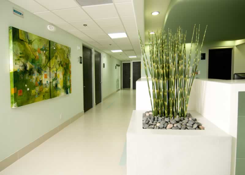 Instalaciones